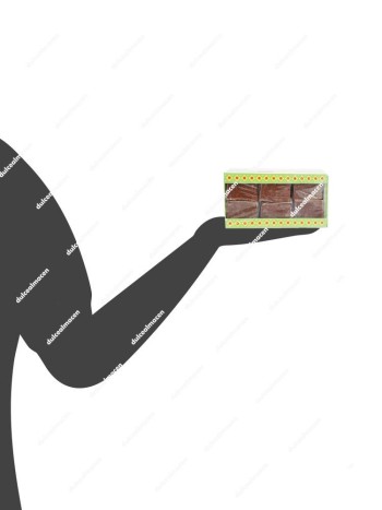 Castipan Bocadillo de Guayaba 18 uds
